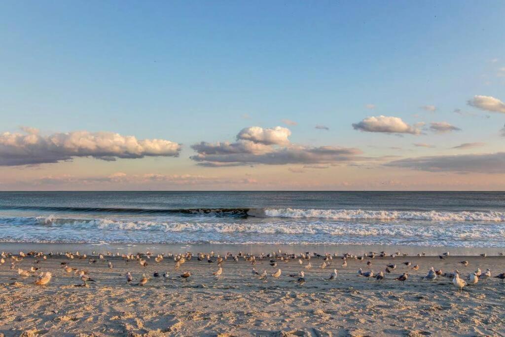 *oceanfront Retreat*king Bed *great Pools, Hot Tubs+++*o41 * Myrtle Beach